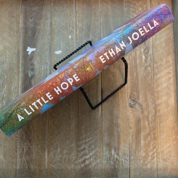 A Little Hope by Ethan Joella- BOTM- Brand New Copy - Never Opened! - Picture 9 of 12